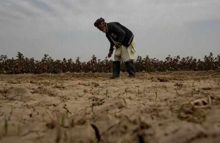 Jawzjan, Northern Afghanistan, 21 October, 2023Ghulam Nabi, 60, throws seeds of wheat on his land in Khanabad village, Jawzjan, Northern Afghanistan. Three years ago, Nabi invested in solar panels and dug a 45-meter deep bore well on his land. He keeps 50% of the water for himself and offers free drinking water to villagers in three surrounding villages. In Jawzjan, drinking water has dried up, and irrigation water is scarce unless solar panels are used to power electric wells. Those who have solar have adapted by growing cotton, which yields more profit but requires more water.Across Afghanistan, 25 out of 34 provinces are experiencing severe or catastrophic drought conditions, affecting over 50% of the population. According to the Global Climate Risk Index and the United Nations, Afghanistan is the world’s sixth most affected country by climate-related threats, including droughts, storms, and earthquakes. As these extreme conditions persist, many Afghans can no longer grow crops and have moved to larger towns or neighboring Iran to find work and water.Credit: UNOCHA/Lynsey Addario