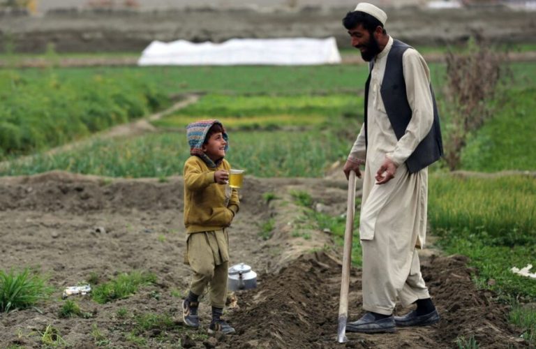 Drought in Paktia; Farmers Hope for Late Rain