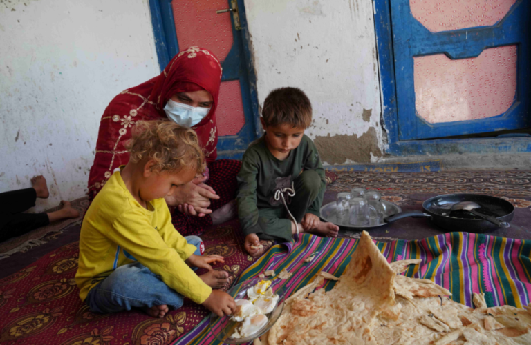 Egg consumption linked to reduced risk of acute malnutrition in children