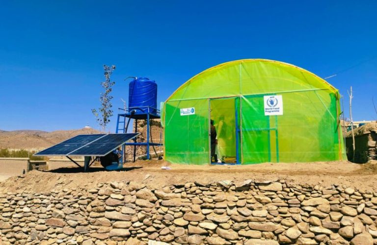 Eight greenhouses were inaugurated in Paktika 1