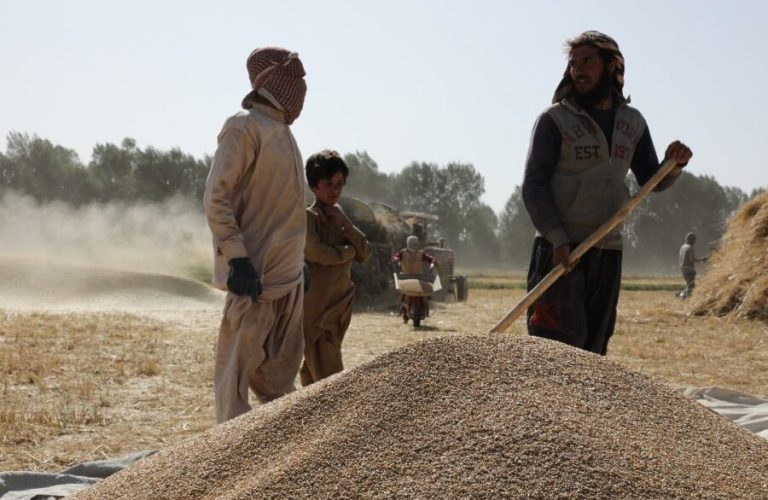 Farmers in Ghor 1
