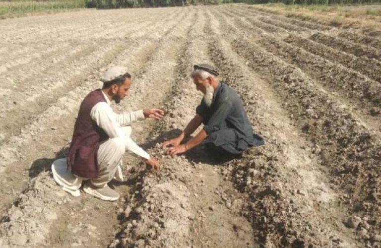 Farmers in Nangarhar Our lands are surrounded by water and salt 1