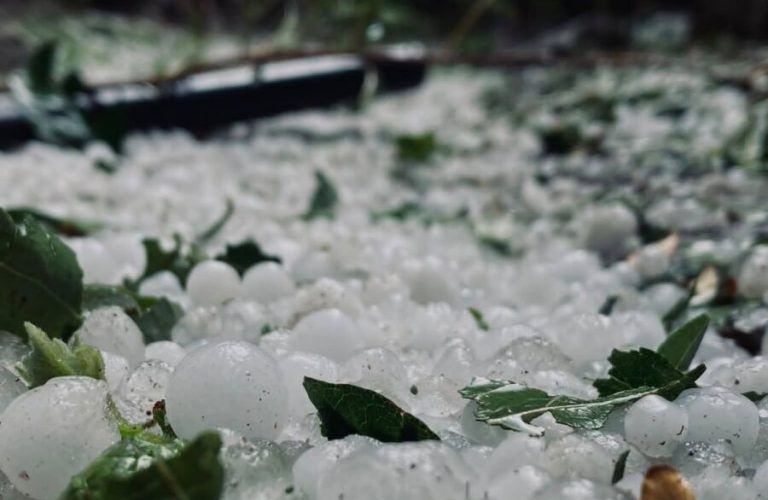 Floods and hail have damaged orchards and agricultural lands in Kapisa 1