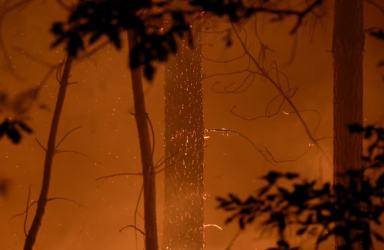 Forest fire in southwestern France
