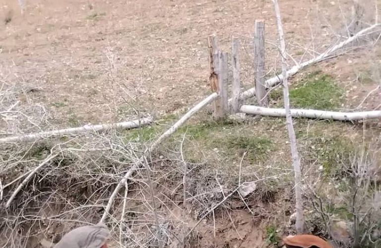 Increasing deforestation in Badakhshan; a serious threat to the environment and natural resources