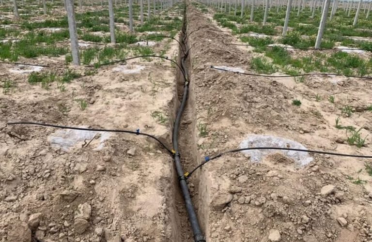 Lack of facilities and awareness hinders Ghazni farmers' transition from traditional methods to modern irrigation systems