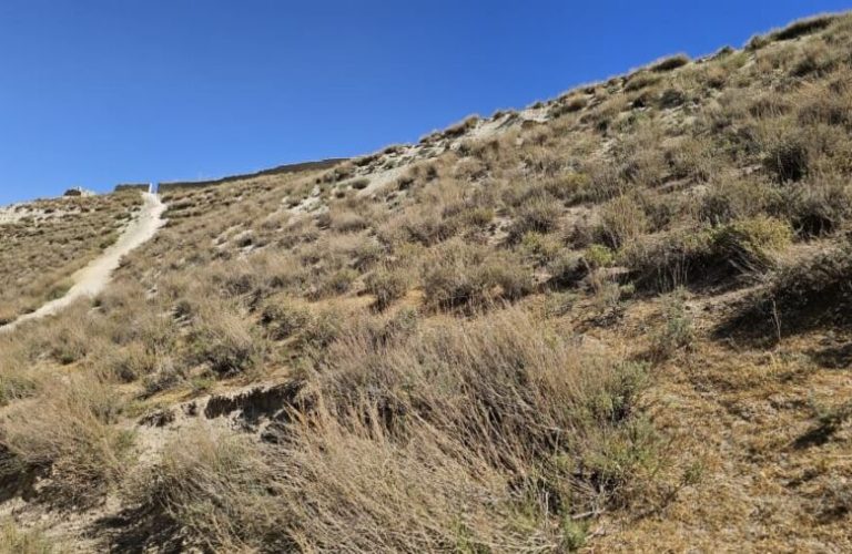 Land Enclosure Ghor Residents