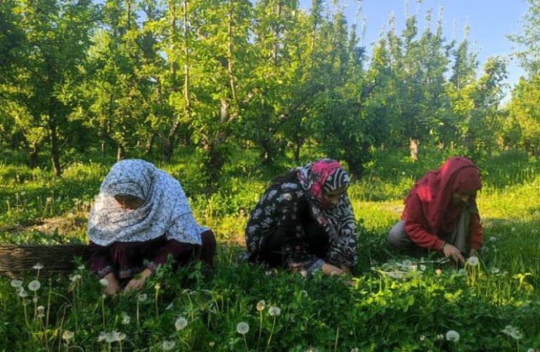 xr:d:DAFjWvtZsxc:4,j:5029902163,t:23051910