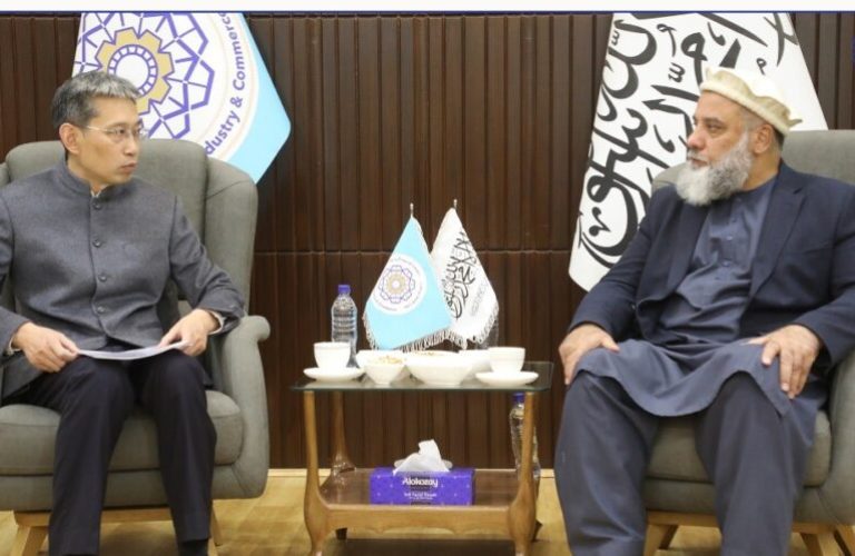 Meeting of the Chinese and Afghan delegations