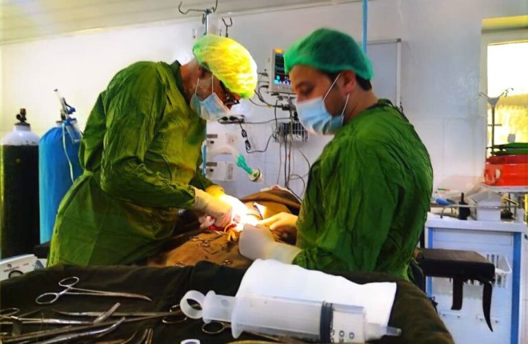 Overeating during Eid al-Adha; Doctors warn about digestive risks