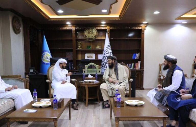Qatari Embassy Chargé d'Affaires meets with First Deputy Minister of Interior