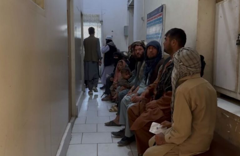 Rise in Cutaneous Leishmaniasis Cases in Balkh 1