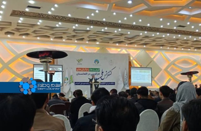 SAVE_20260118_200620