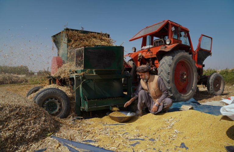 Soybean cultivation in Balkh