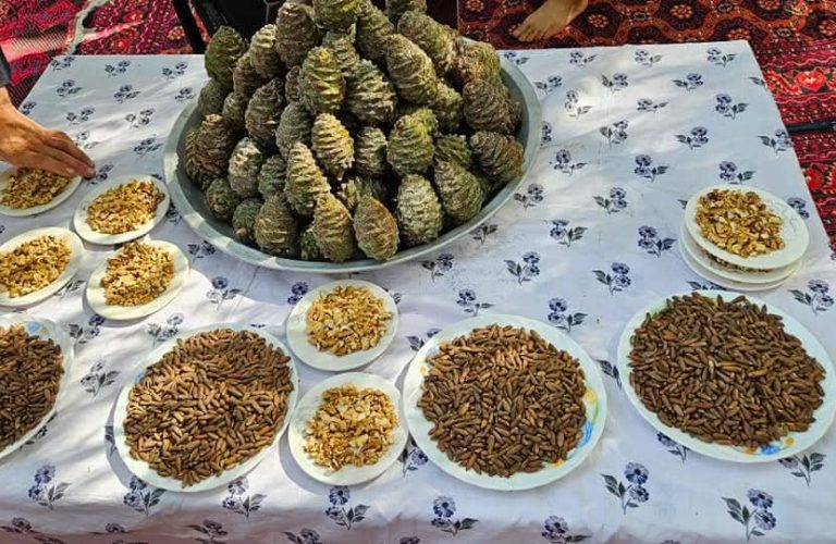 The Black Chilgoza Festival was held in Kapisa