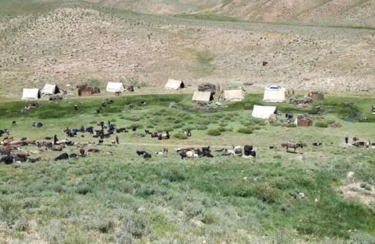 The summer pastures of Ghor keep the wheels of livelihood turning for herding families 1