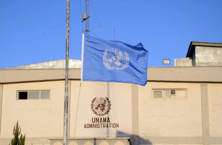 UNAMA flag