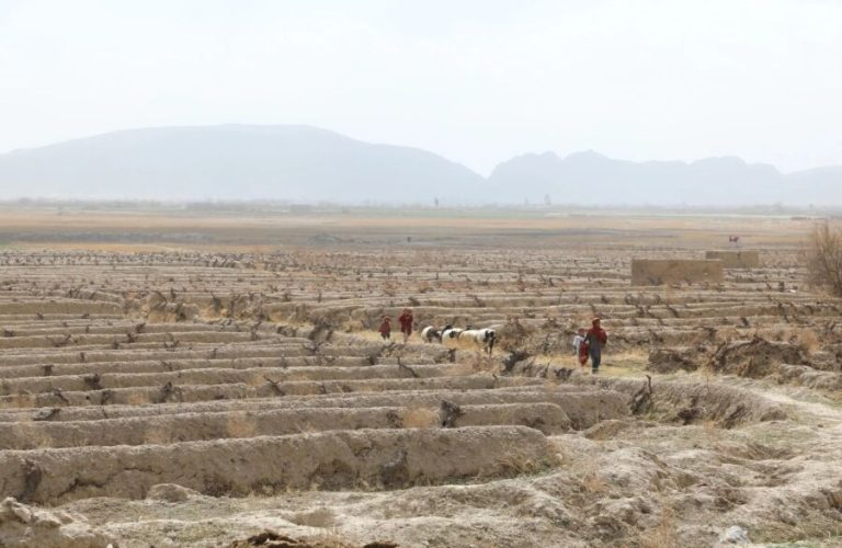 What has climate change gradually taken away from the people of Afghanistan