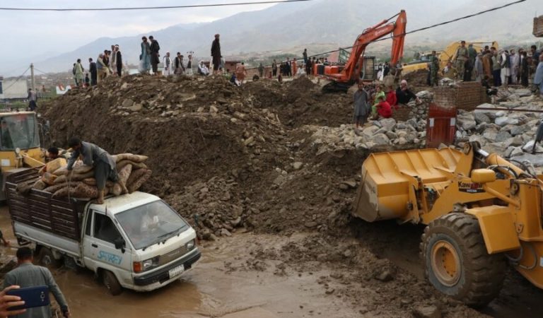 WhatsApp Image 2025-06-03 at 3.52.41 PM