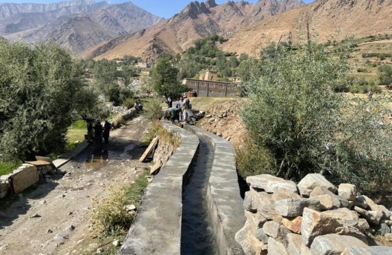 WhatsApp Image 2025-09-17 at 10.11.17 AM