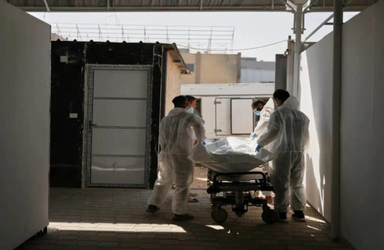 WhatsApp Image 2025-11-01 at 9.53.44 AM