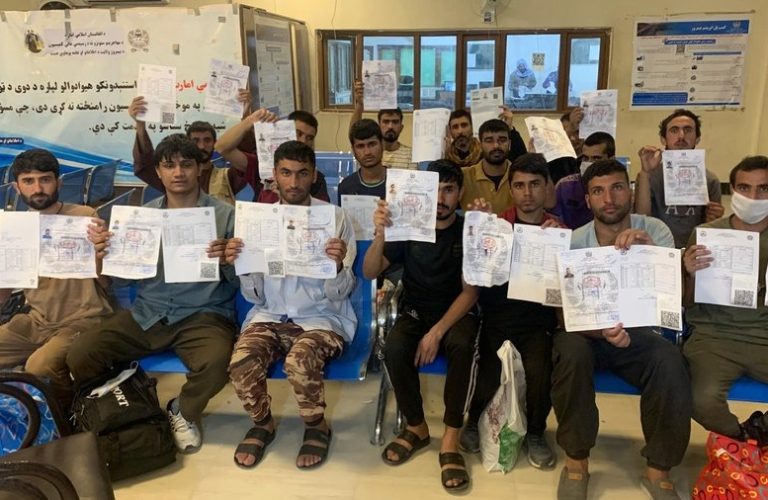 WhatsApp Image 2025-11-13 at 1.17.40 PM