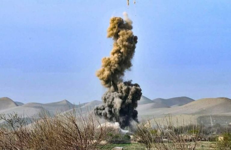 WhatsApp Image 2025-11-14 at 12.09.29 PM