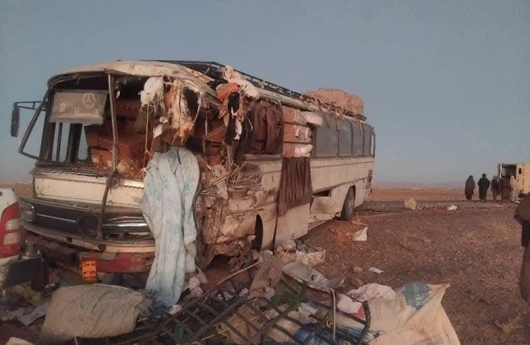 WhatsApp Image 2025-11-23 at 2.05.33 PM