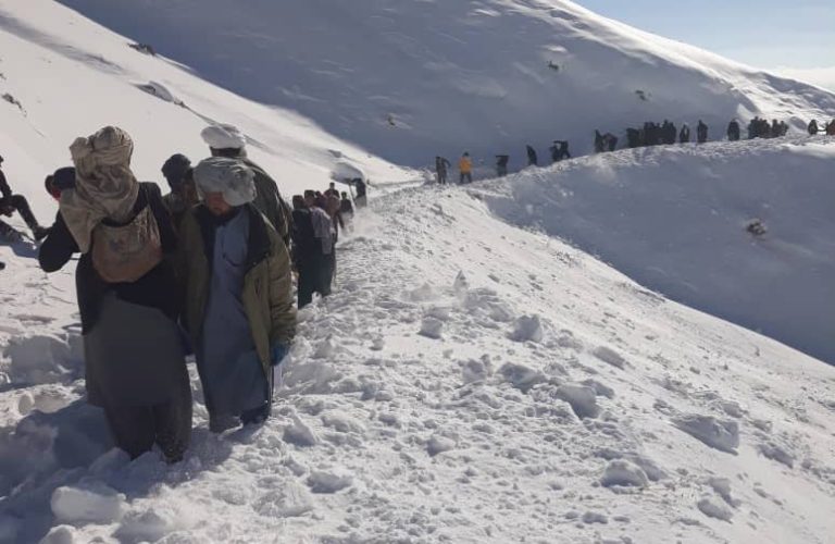 WhatsApp Image 2026-01-03 at 2.27.50 PM