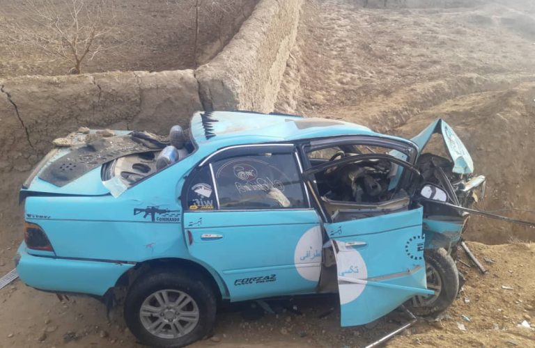 WhatsApp Image 2026-01-03 at 2.56.45 PM