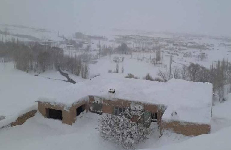 WhatsApp Image 2026-01-24 at 11.38.16 AM