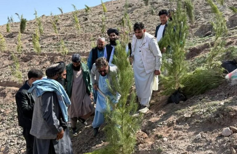 WhatsApp Image 2026-03-02 at 12.26.22 PM