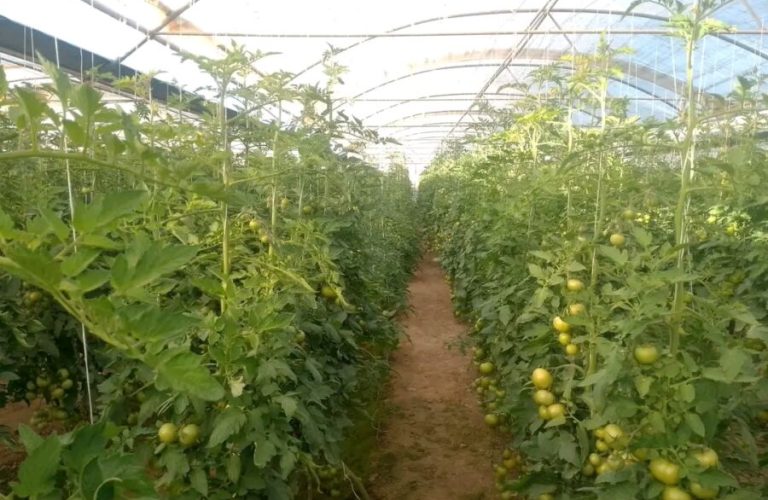 WhatsApp Image 2026-04-14 at 9.57.12 AM