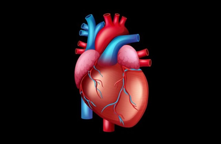 World Heart Day