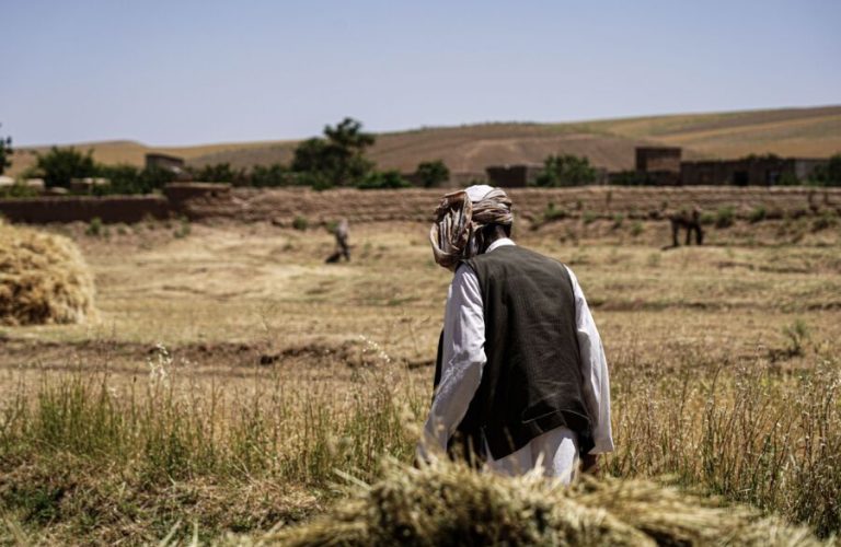 farmers