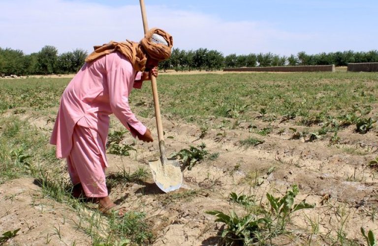 farmers