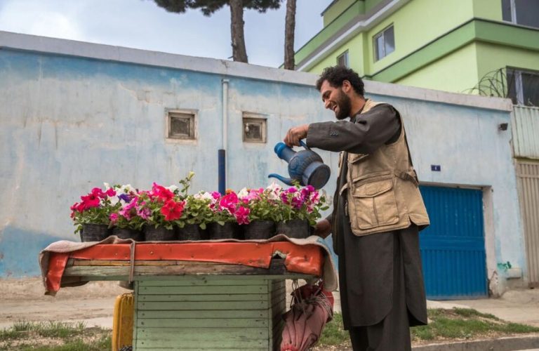 flowers cultivation.jpg