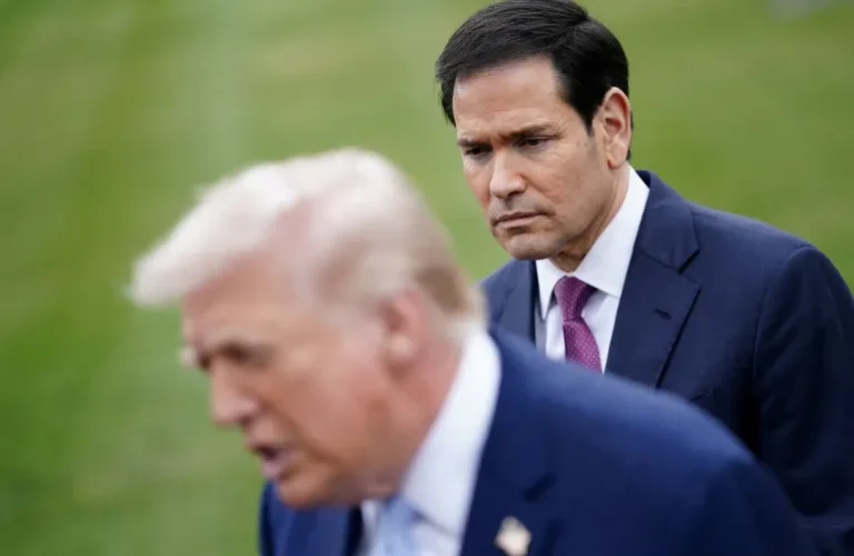 Marco Rubio, Donald Trump