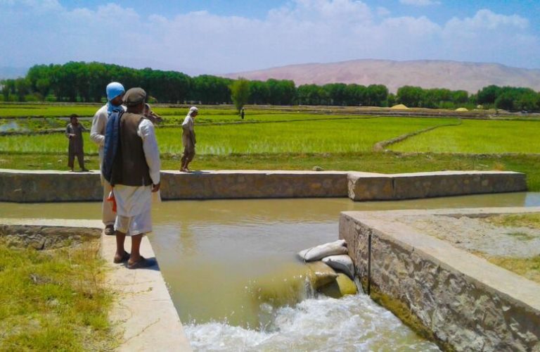 Development projects