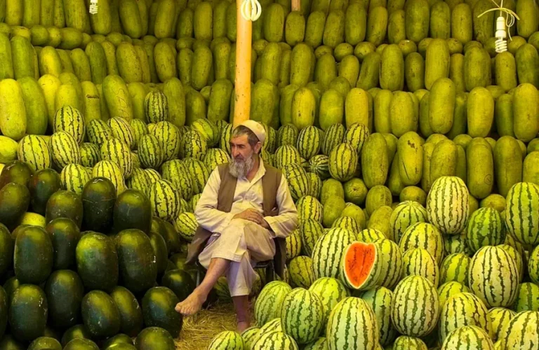 watermelon