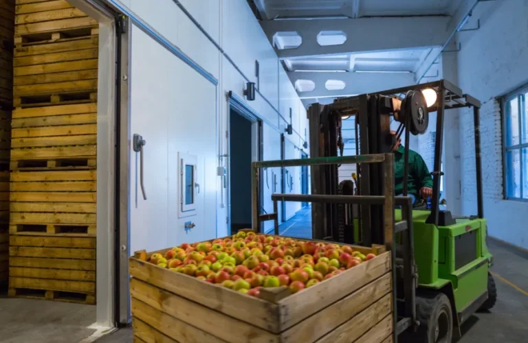 سردخانه در افغانستان