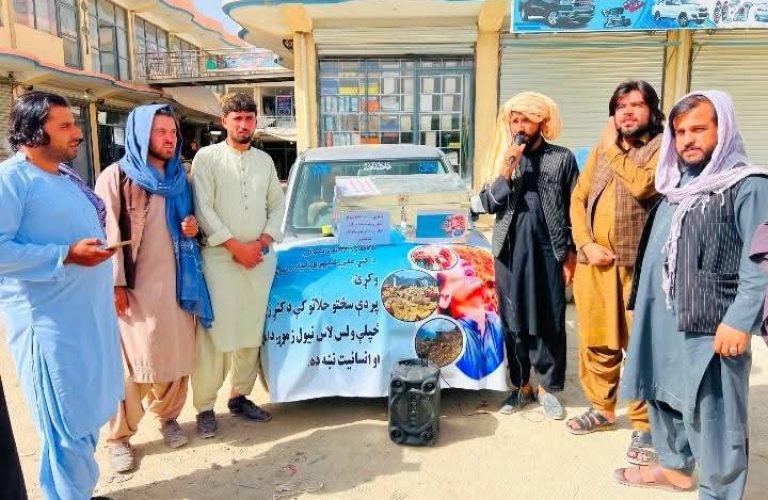 فعالیت رضاکارانه