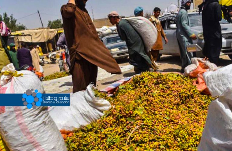 پسته‌ی هرات