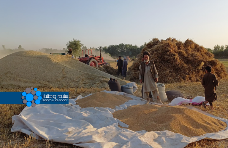 کشاورز در تخار