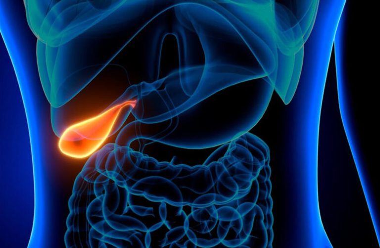 3d illustration of human internal organ gallbladder anatomy